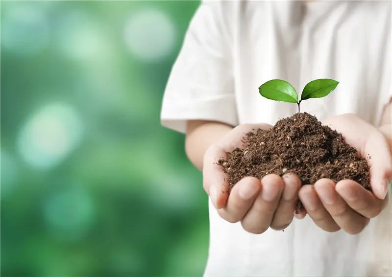 ECO-GREEN Solutions