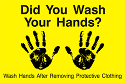 79003 Did You Wash Your Hands? 12" x 18"