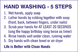 79025 HAND WASHING - 5 STEPS 8" x 12"