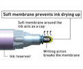 Kawakima Pen Dry Safe Markers | 2.0 -5.0mm | Chisel Tip